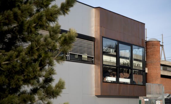 Professor Birkelands vei 36